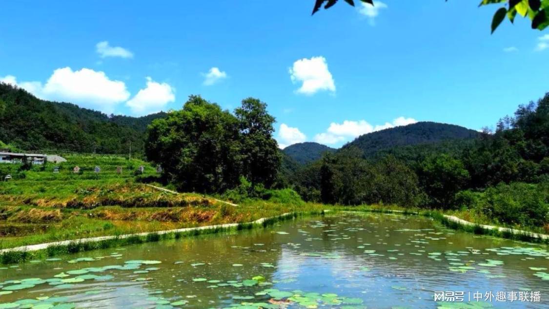 本月线上推广专业化打造您的直播商城,开启流量增长新征程梁王组合展望苏迪曼杯